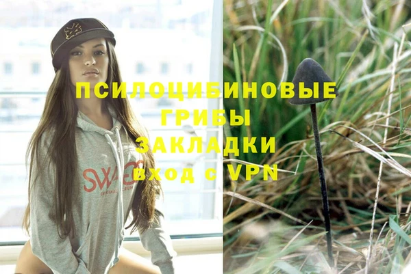 синтетический гашиш Алексеевка