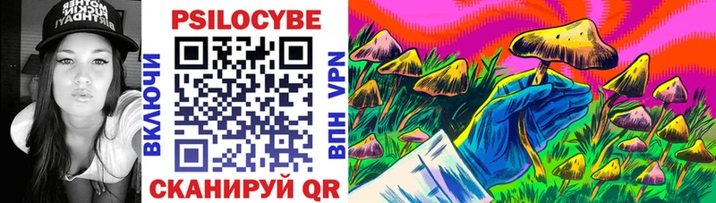 Галлюциногенные грибы Psilocybe  Купить закладки  Гдов 